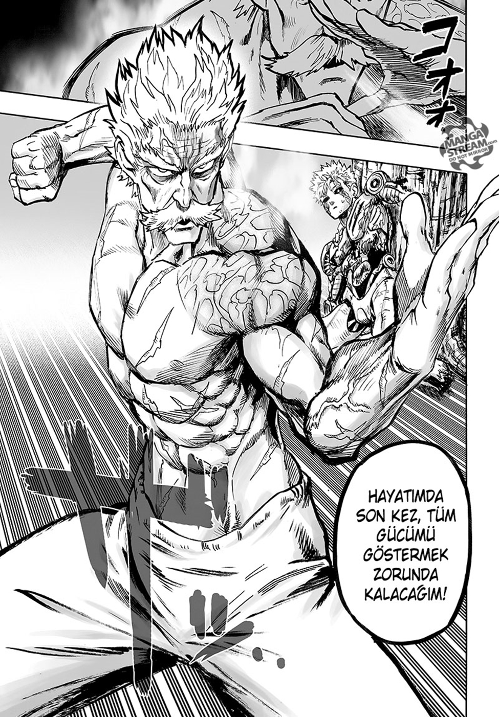 Read Tek Yumruk TR Manga Online