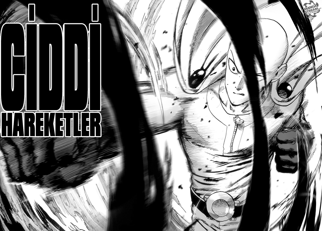 Read Tek Yumruk TR Manga Online