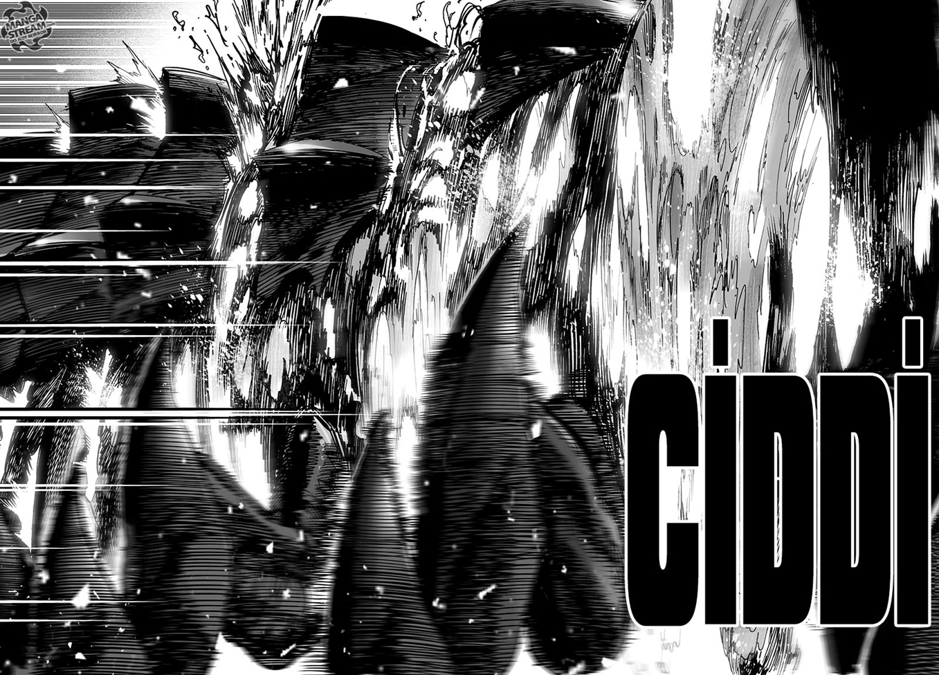 Read Tek Yumruk TR Manga Online