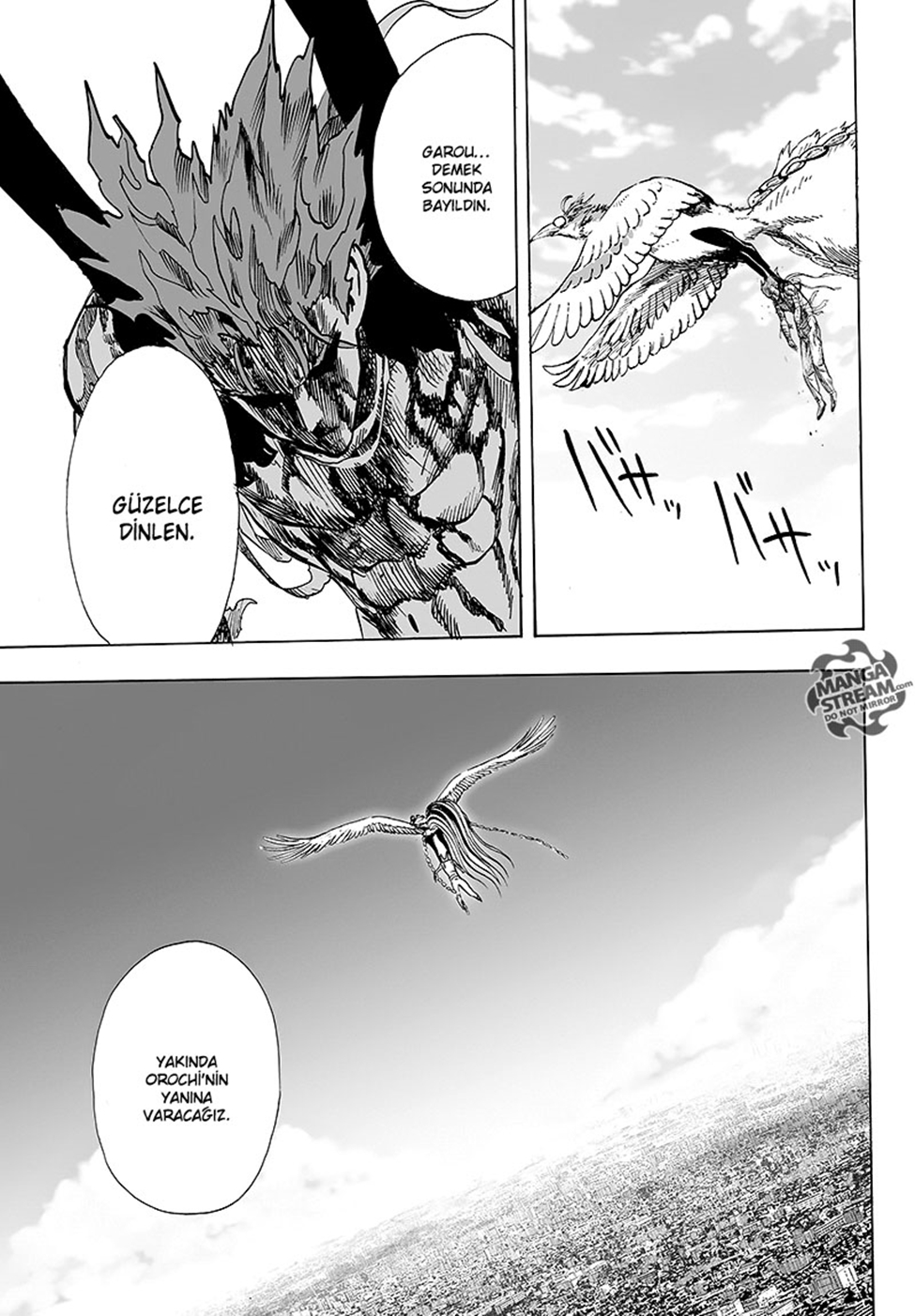 Read Tek Yumruk TR Manga Online