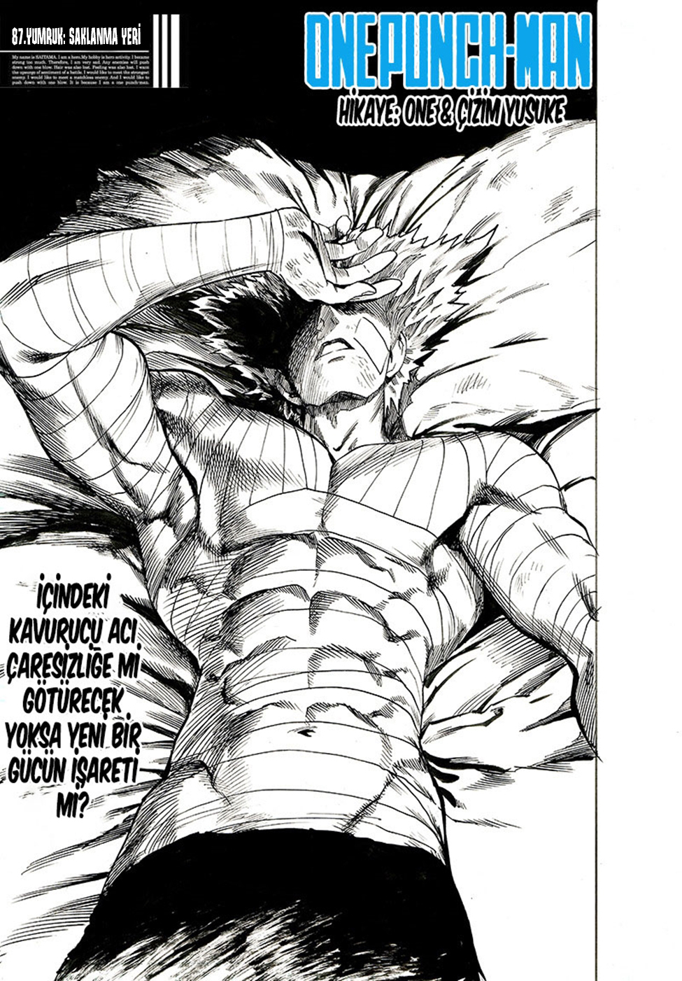 Read Tek Yumruk TR Manga Online