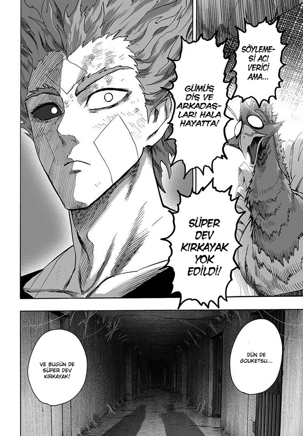 Read Tek Yumruk TR Manga Online