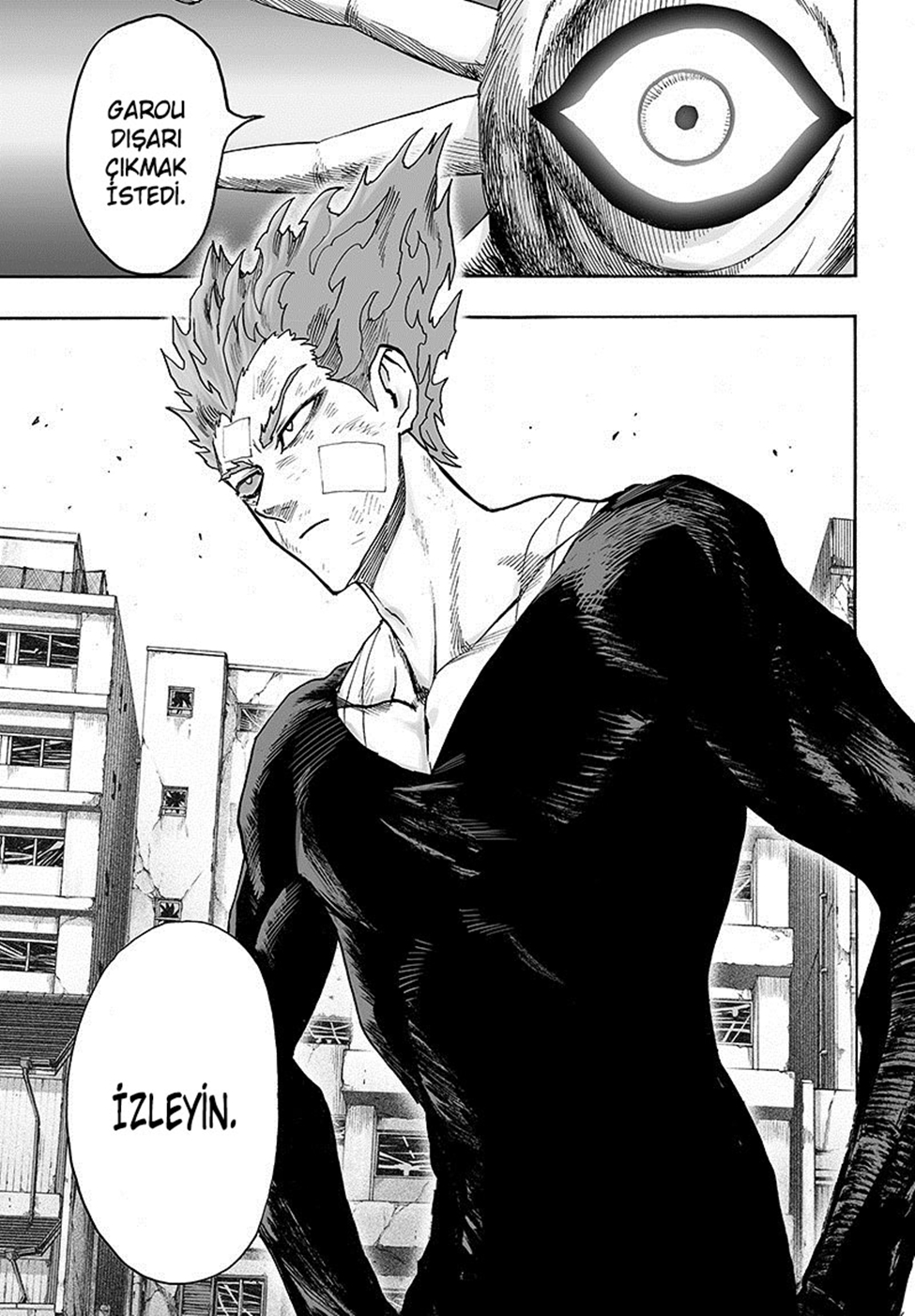 Read Tek Yumruk TR Manga Online