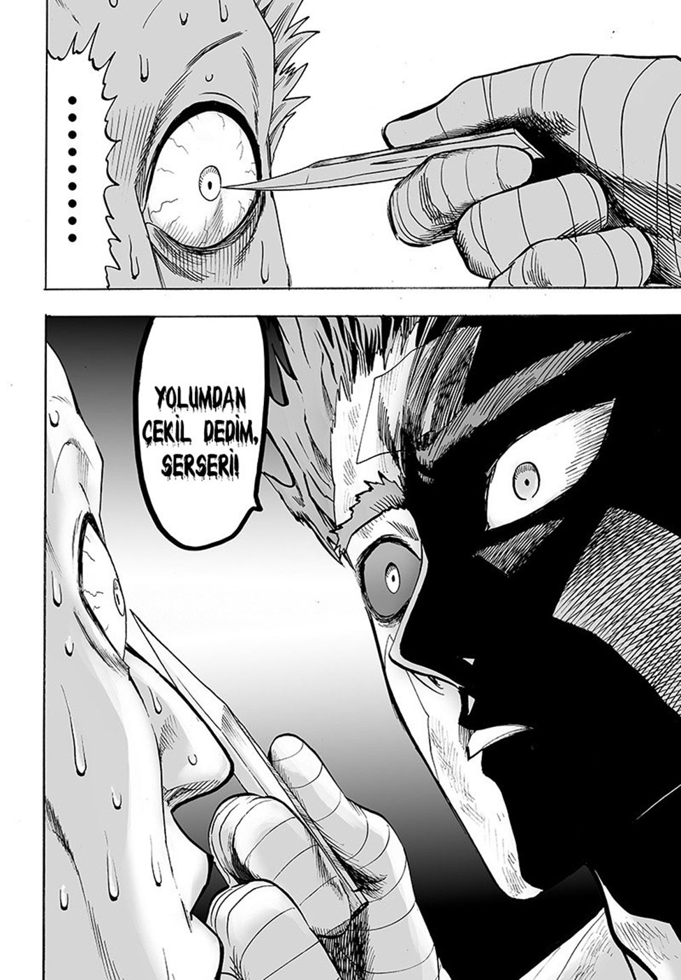 Read Tek Yumruk TR Manga Online