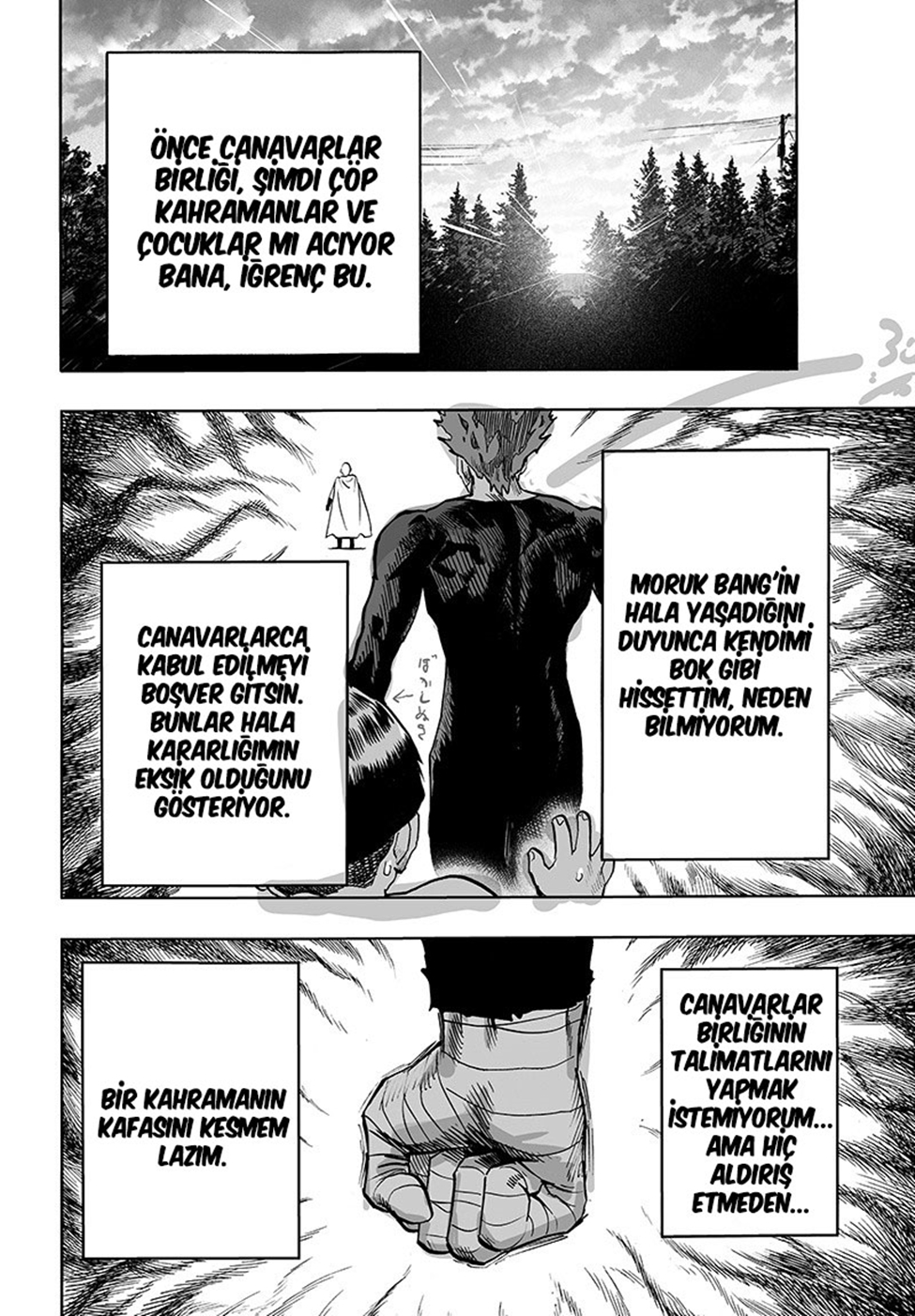 Read Tek Yumruk TR Manga Online