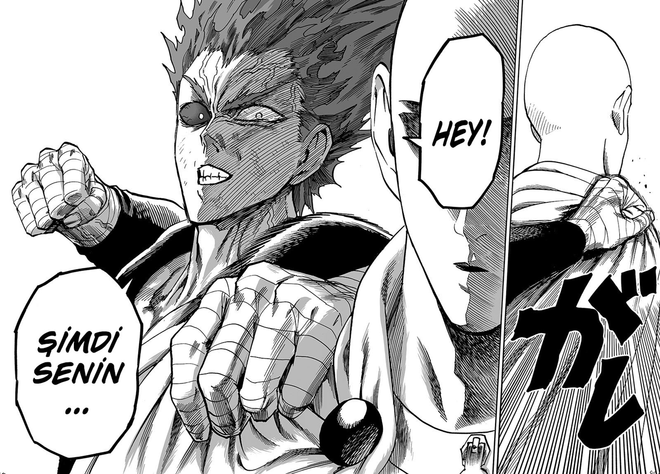 Read Tek Yumruk TR Manga Online