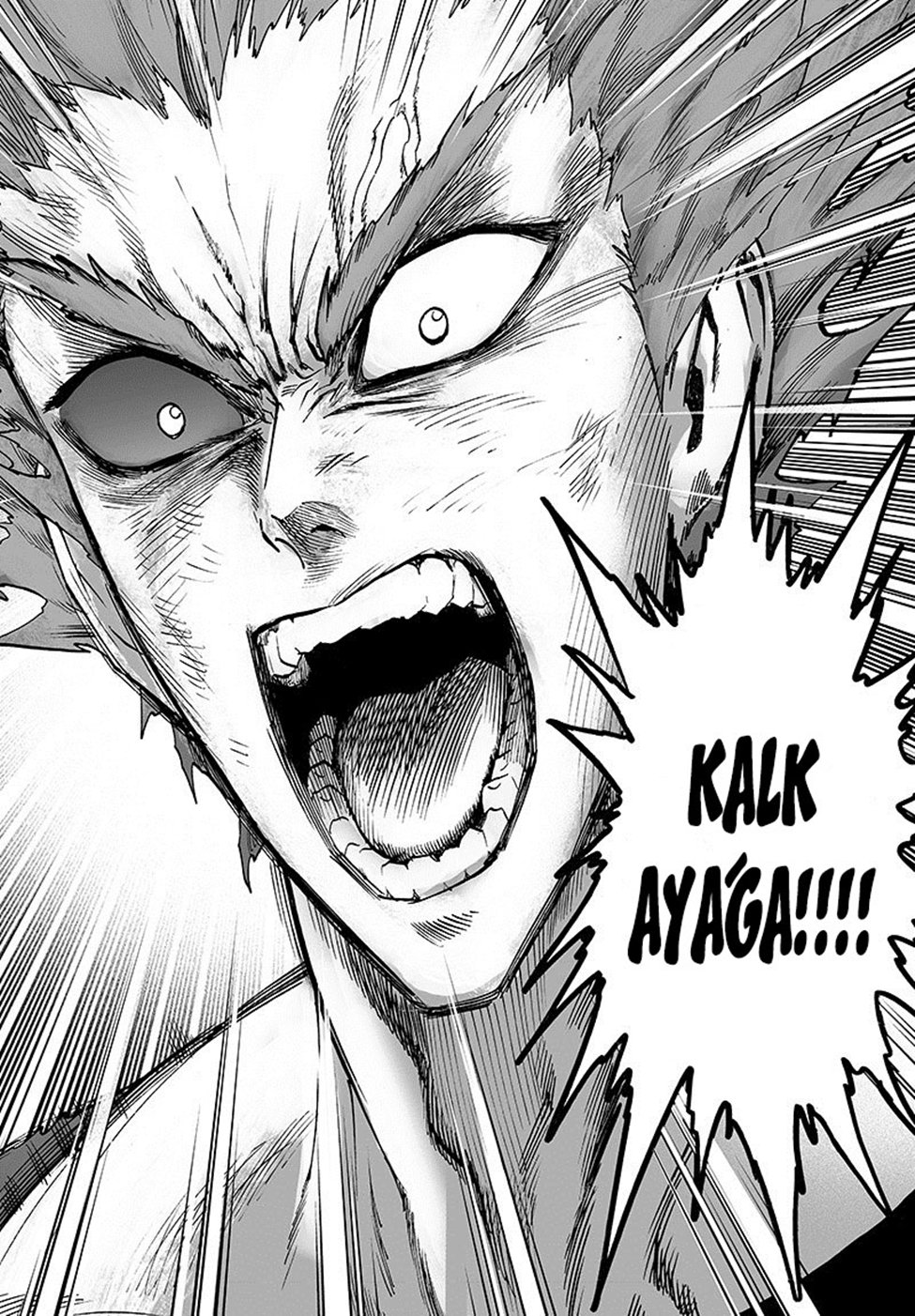 Read Tek Yumruk TR Manga Online