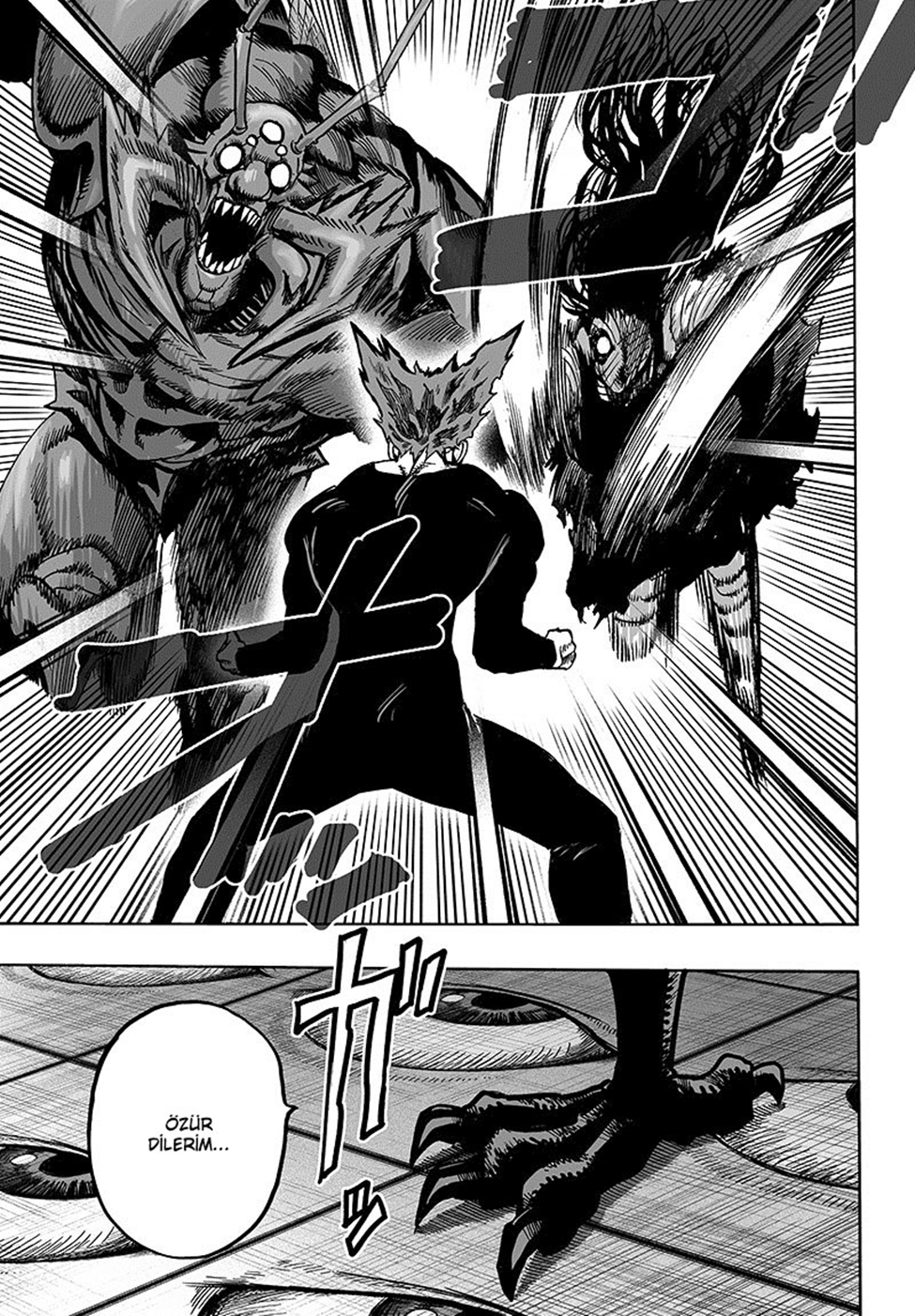 Read Tek Yumruk TR Manga Online