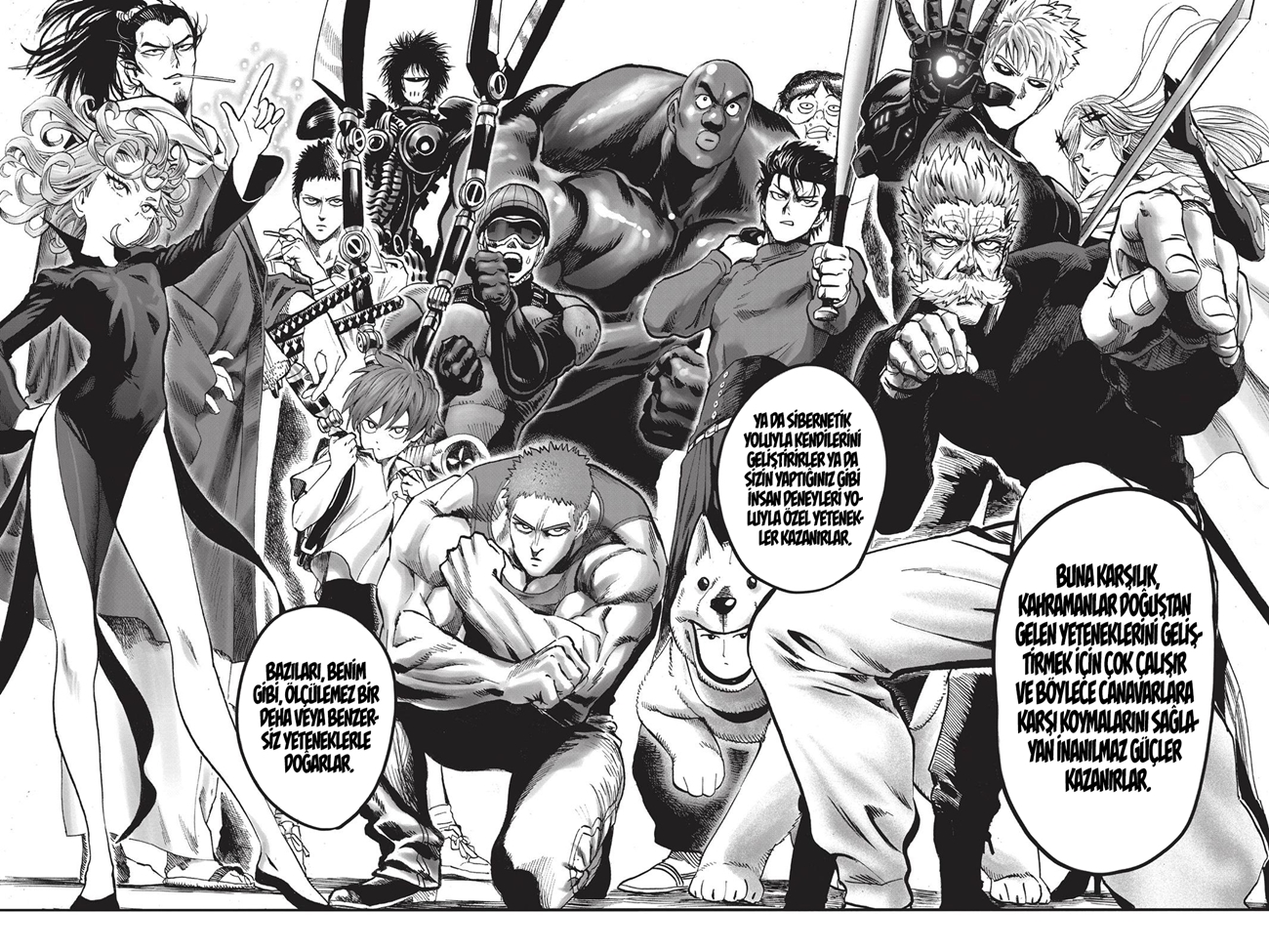 Read Tek Yumruk TR Manga Online