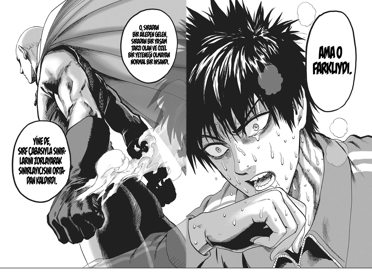 Read Tek Yumruk TR Manga Online