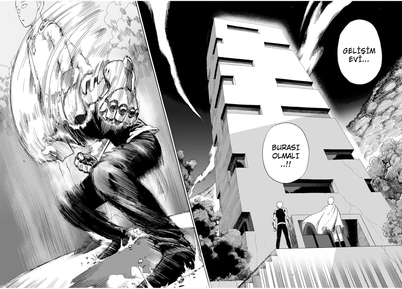 Read Tek Yumruk TR Manga Online
