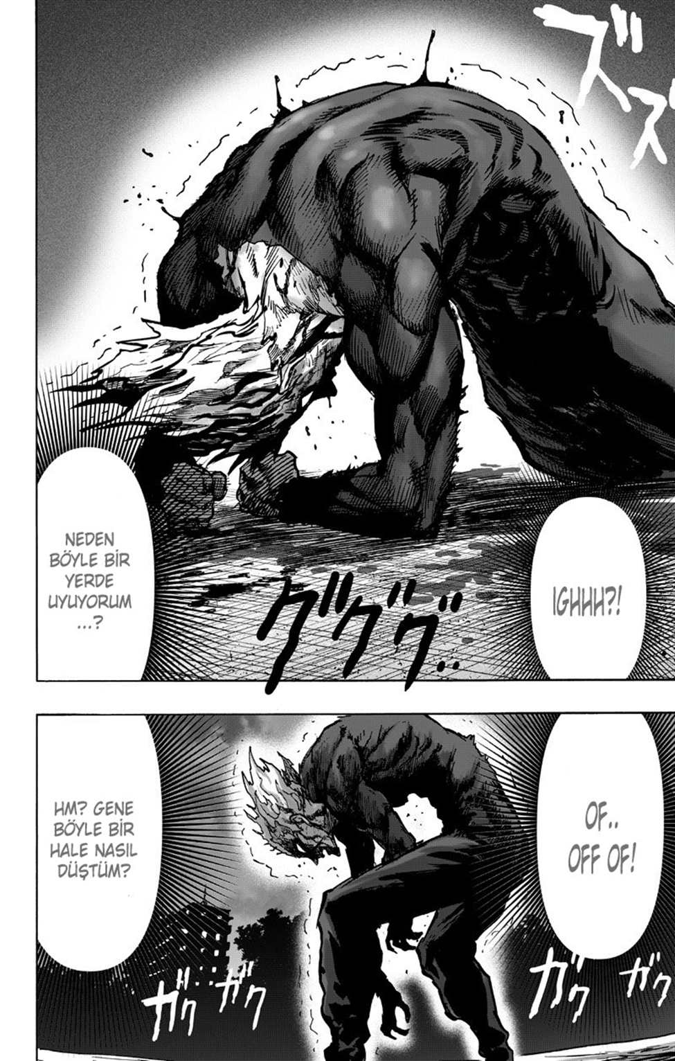 Read Tek Yumruk TR Manga Online