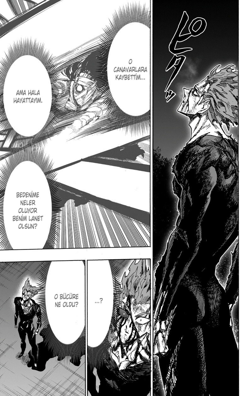 Read Tek Yumruk TR Manga Online