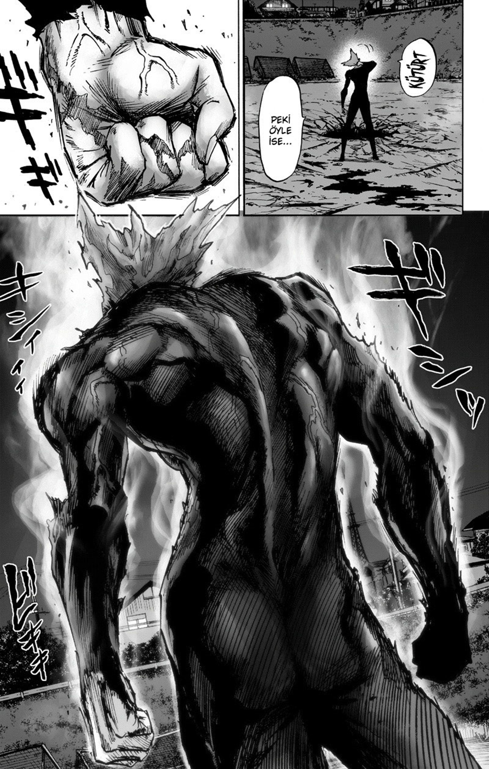 Read Tek Yumruk TR Manga Online