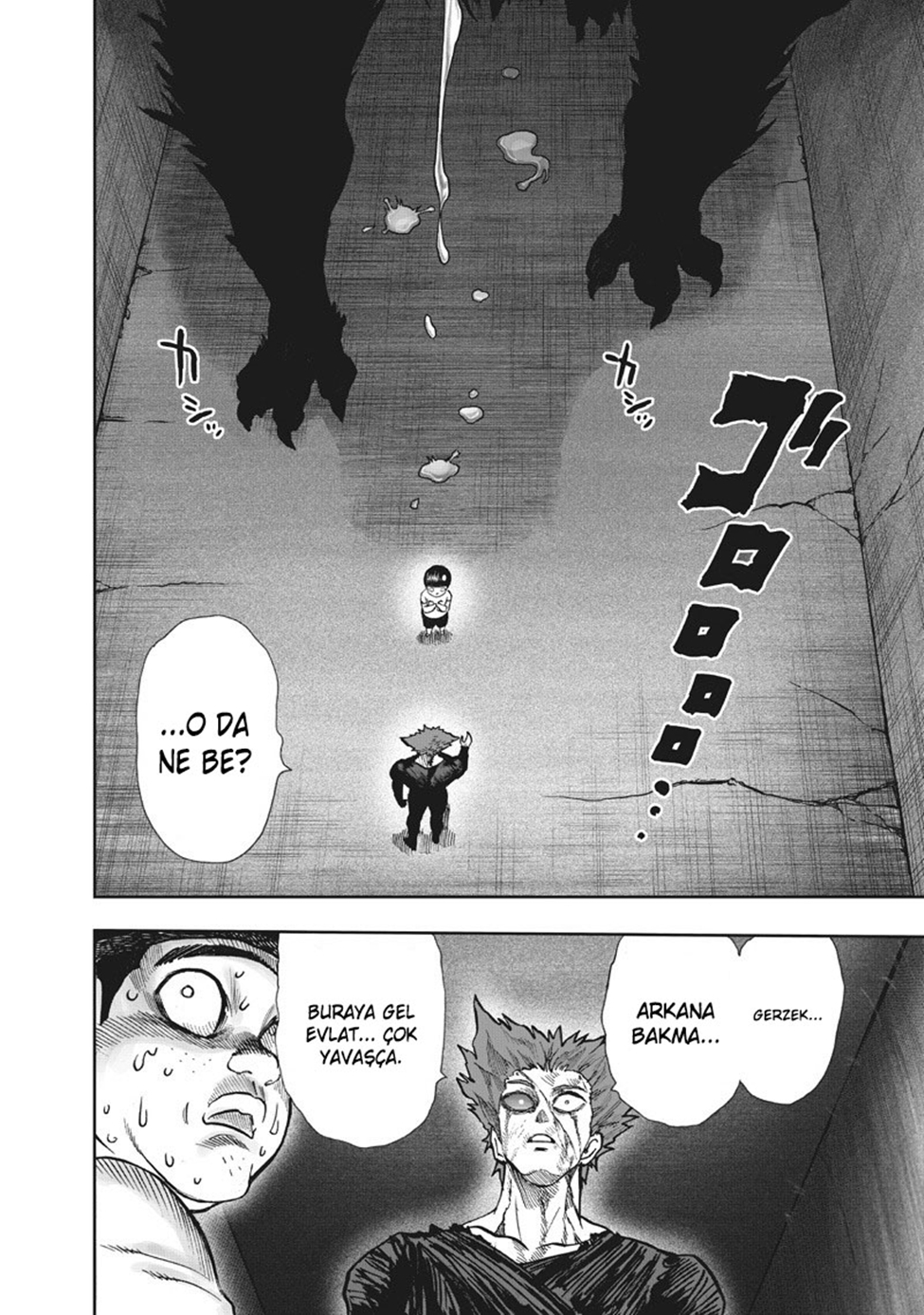 Read Tek Yumruk TR Manga Online