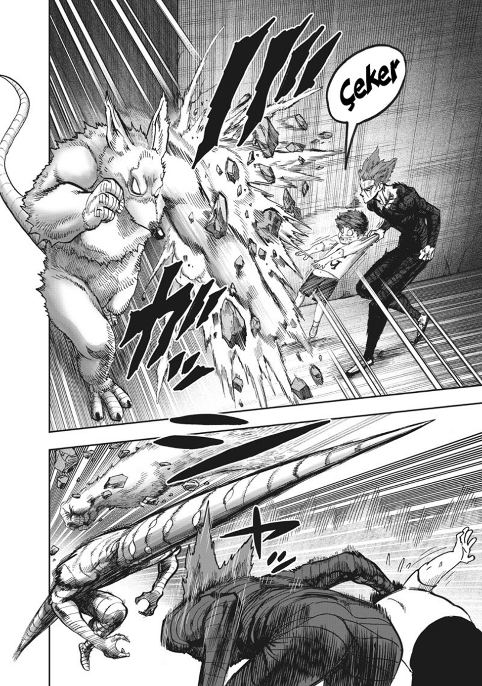 Read Tek Yumruk TR Manga Online