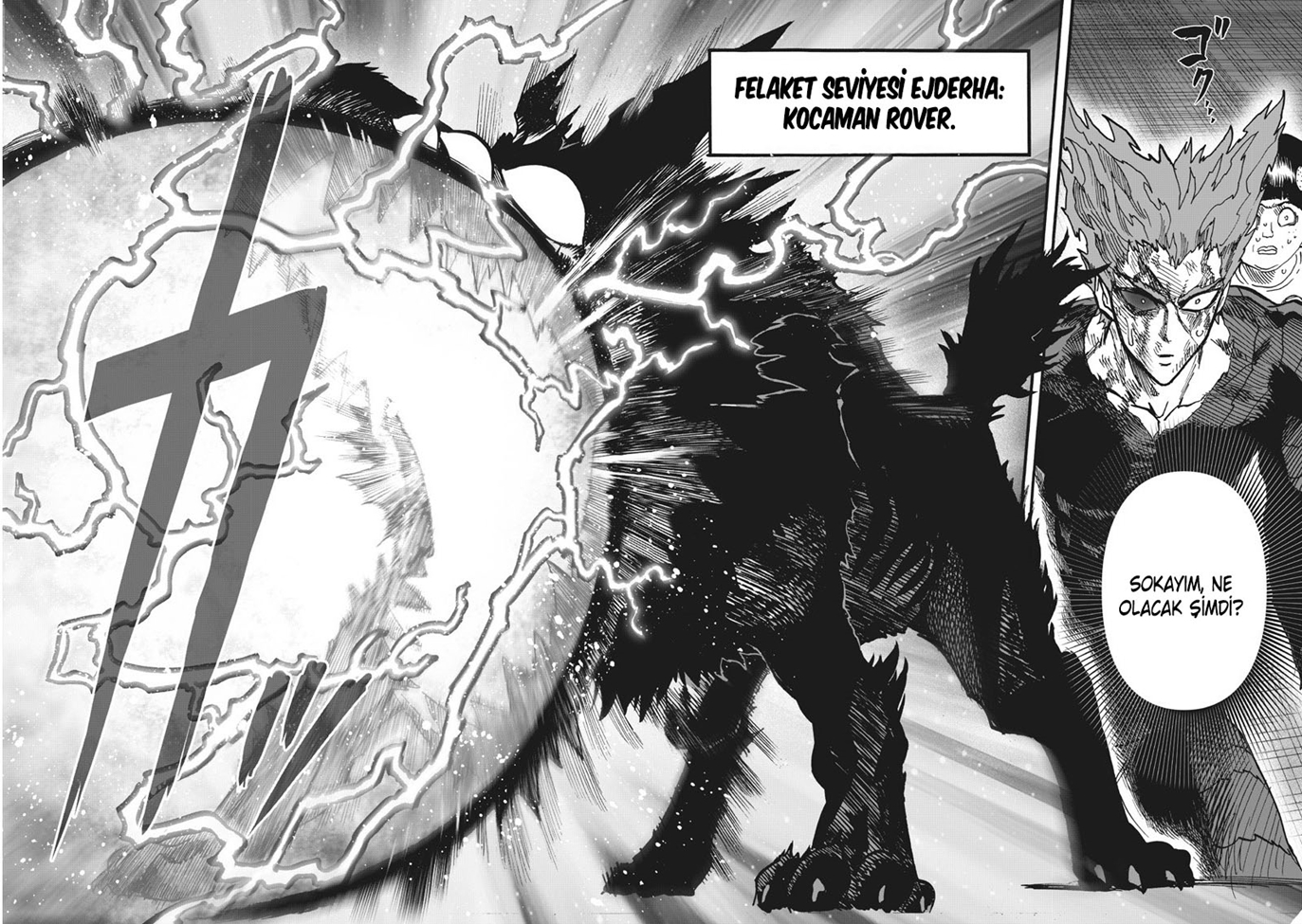 Read Tek Yumruk TR Manga Online