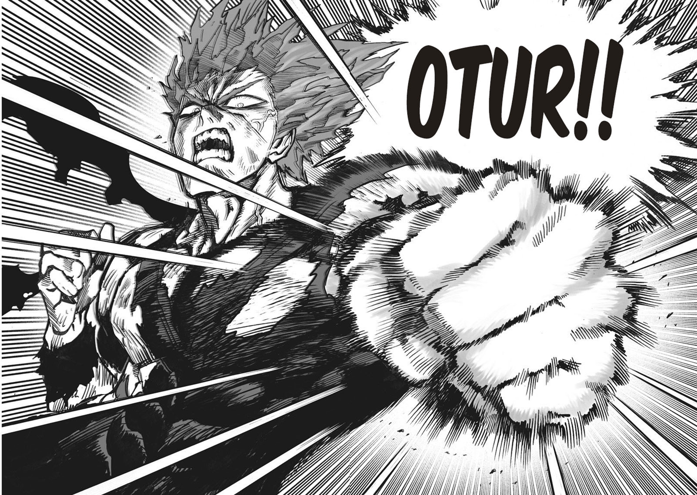 Read Tek Yumruk TR Manga Online