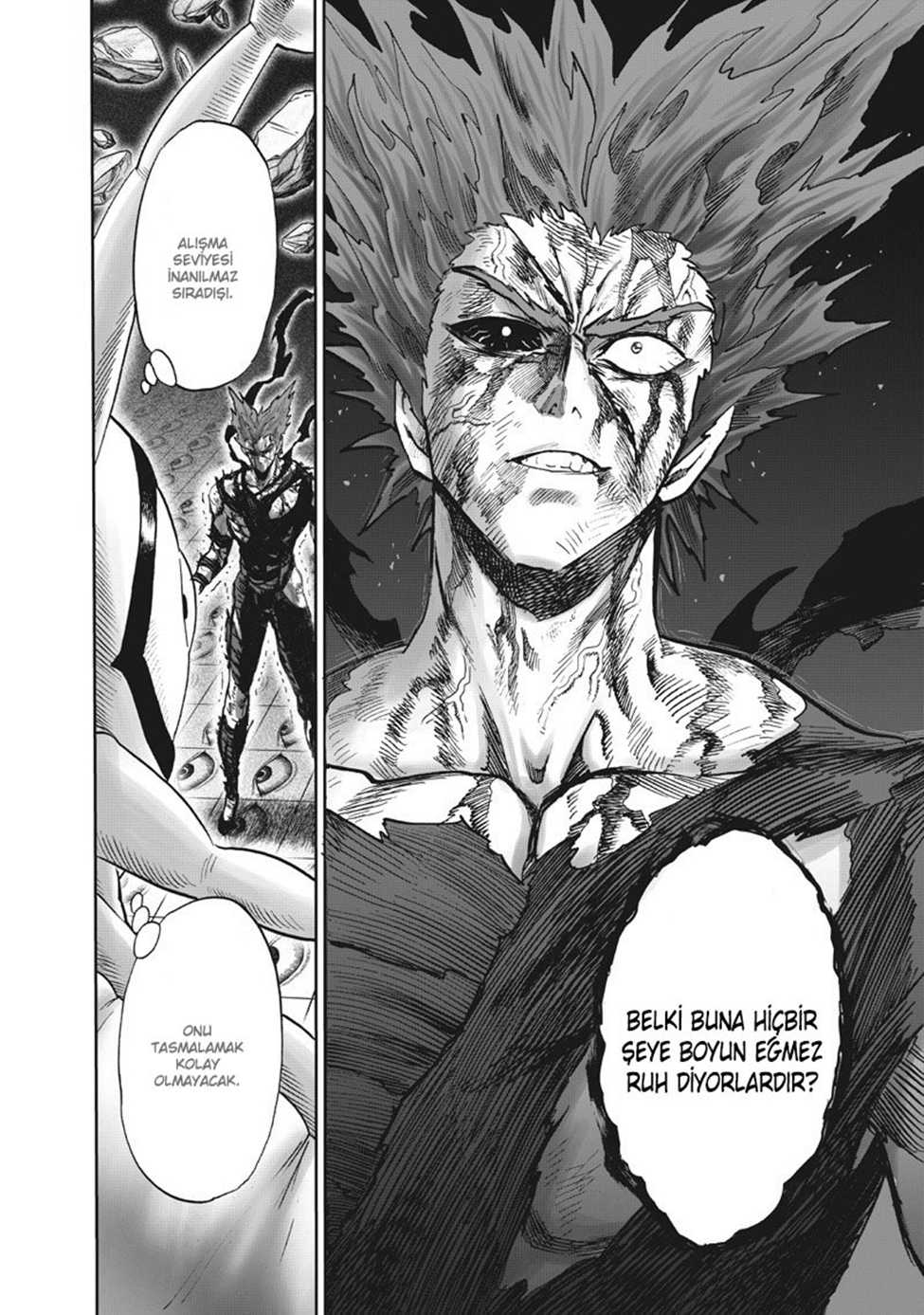 Read Tek Yumruk TR Manga Online