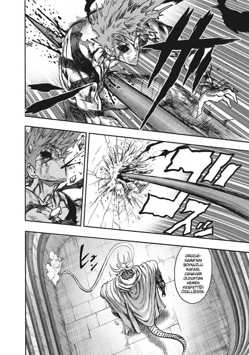Read Tek Yumruk TR Manga Online