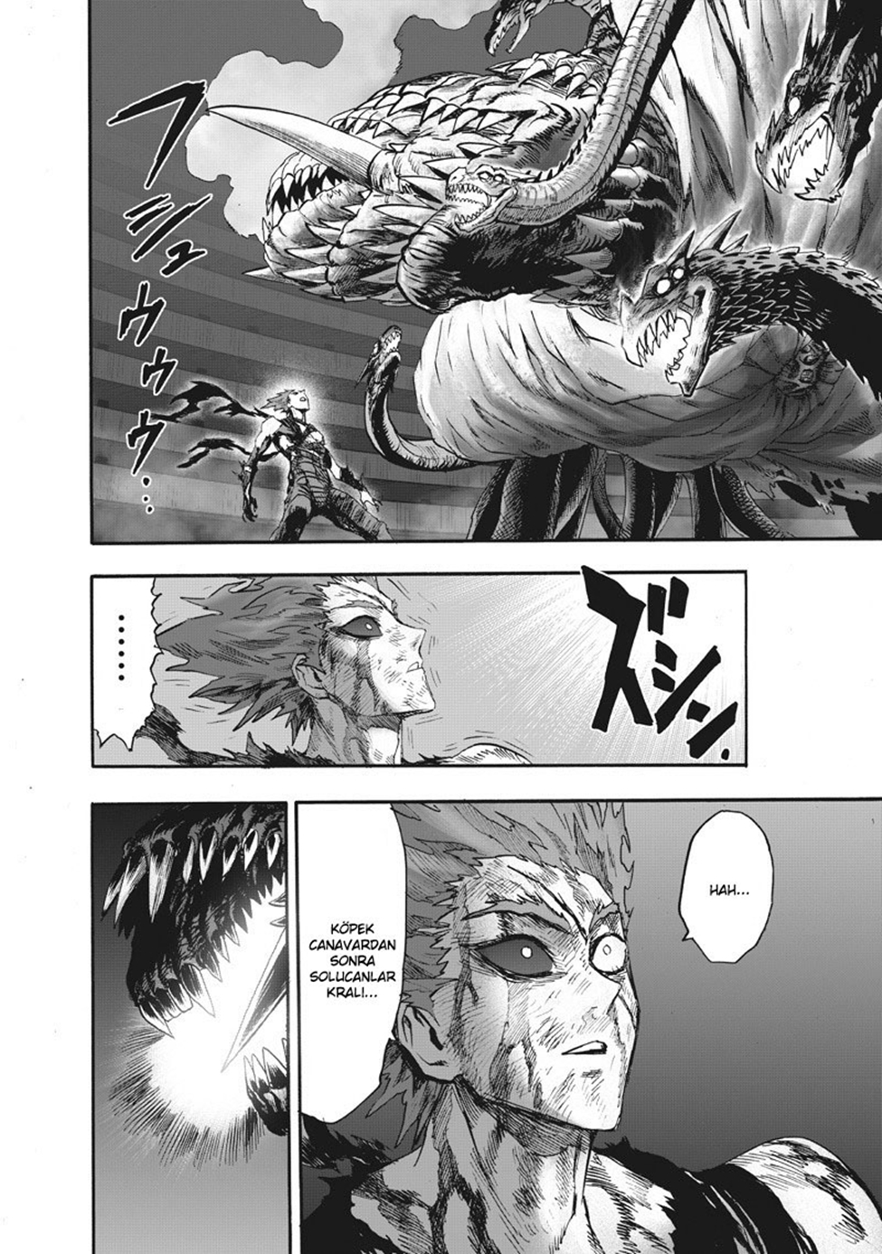 Read Tek Yumruk TR Manga Online