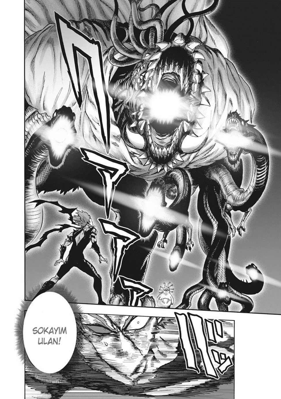 Read Tek Yumruk TR Manga Online