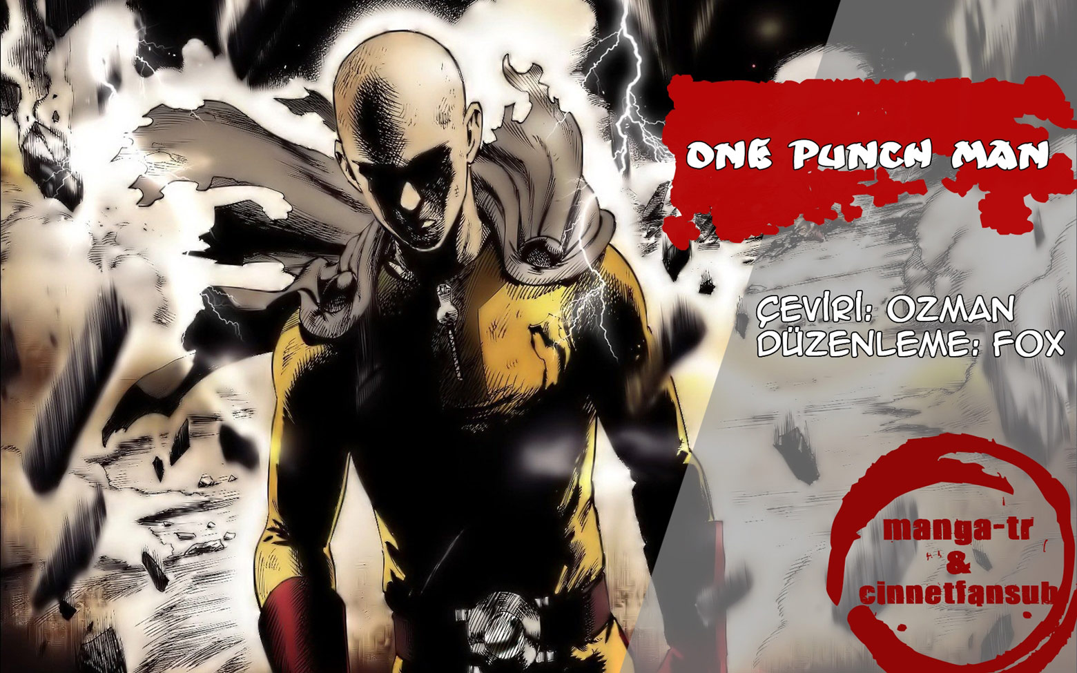 Read Tek Yumruk TR Manga Online