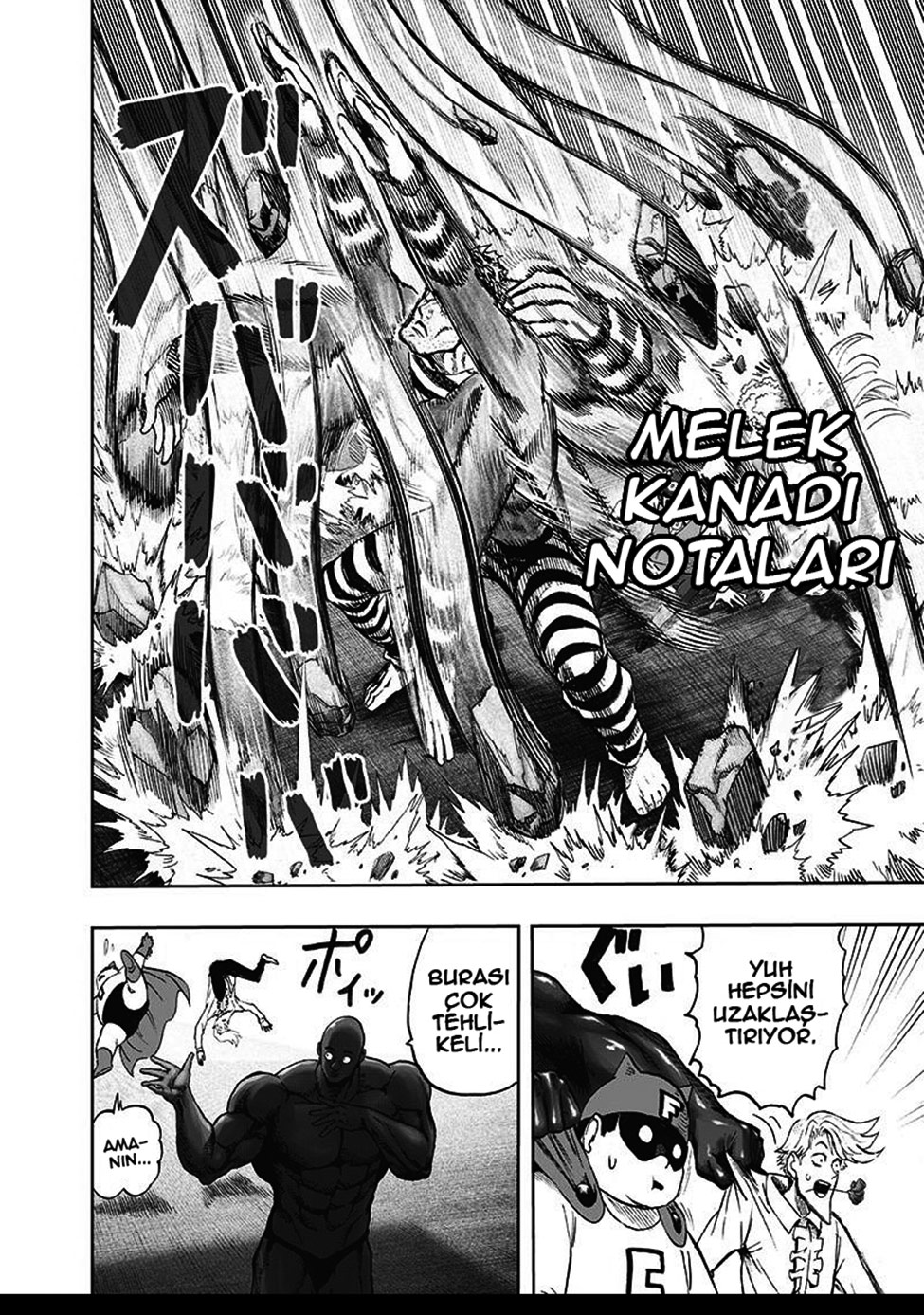 Read Tek Yumruk TR Manga Online