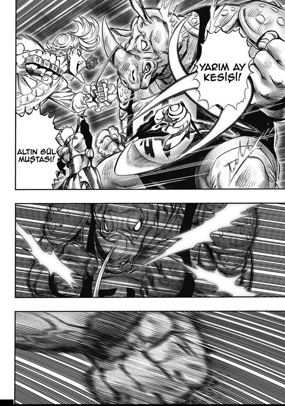 Read Tek Yumruk TR Manga Online