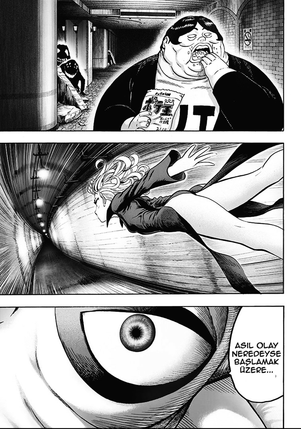 Read Tek Yumruk TR Manga Online