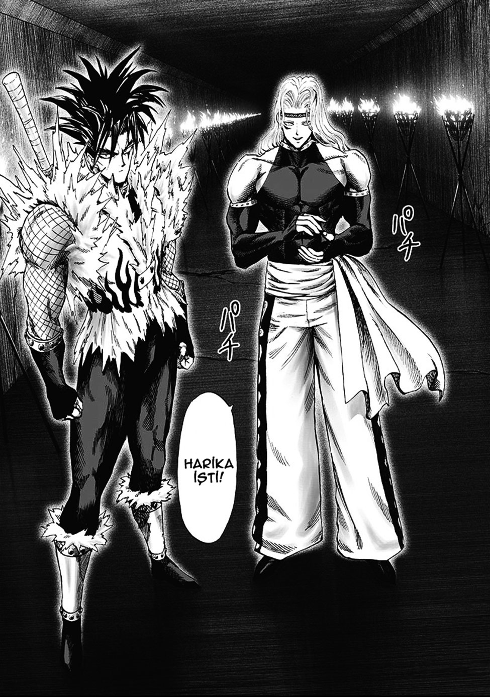 Read Tek Yumruk TR Manga Online