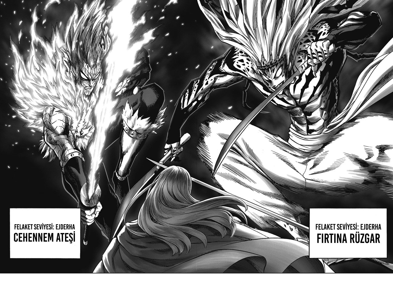 Read Tek Yumruk TR Manga Online