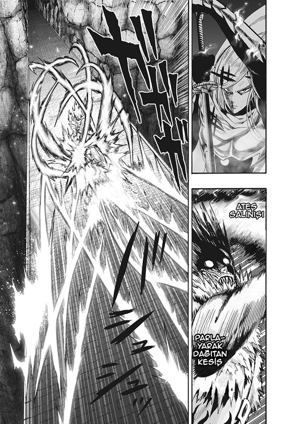 Read Tek Yumruk TR Manga Online